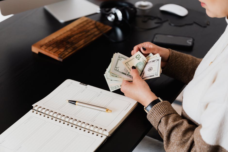 Freelance profesyonelin nakit akışı tablo ve grafiklerini incelemesi