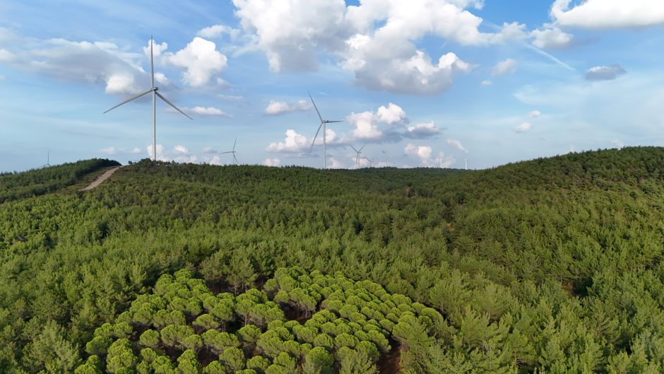Türkiye'de ESG Yatırımlarına Başlamak İçin 5 Adım